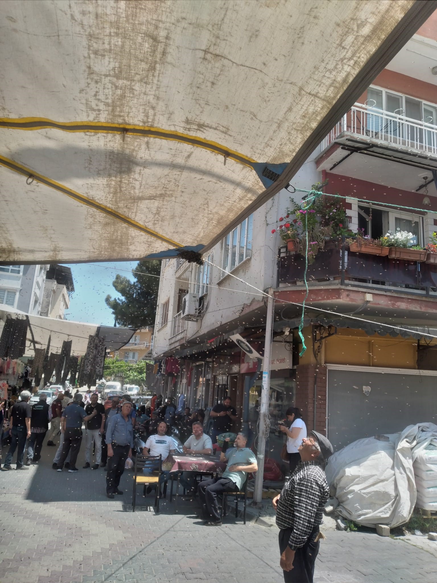 Aydın’da Pazar Çadırını Sardılar