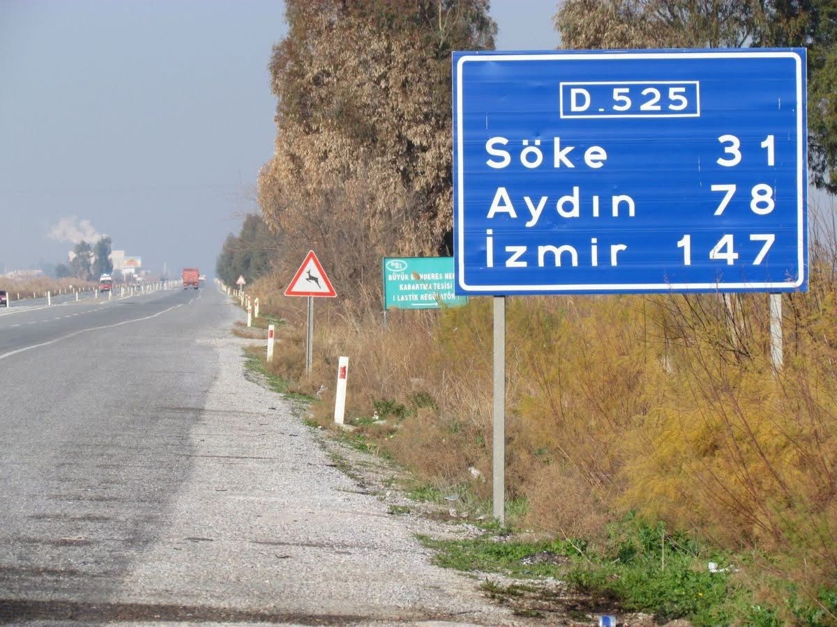 Aydın’da Saz Kedisi Arabanın Altında Kaldı (3)
