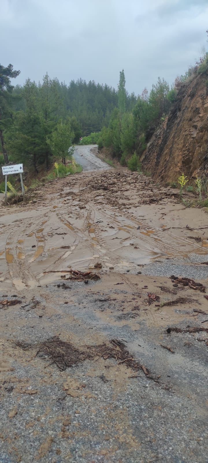 Aydın’da Toprak Kayması (7)