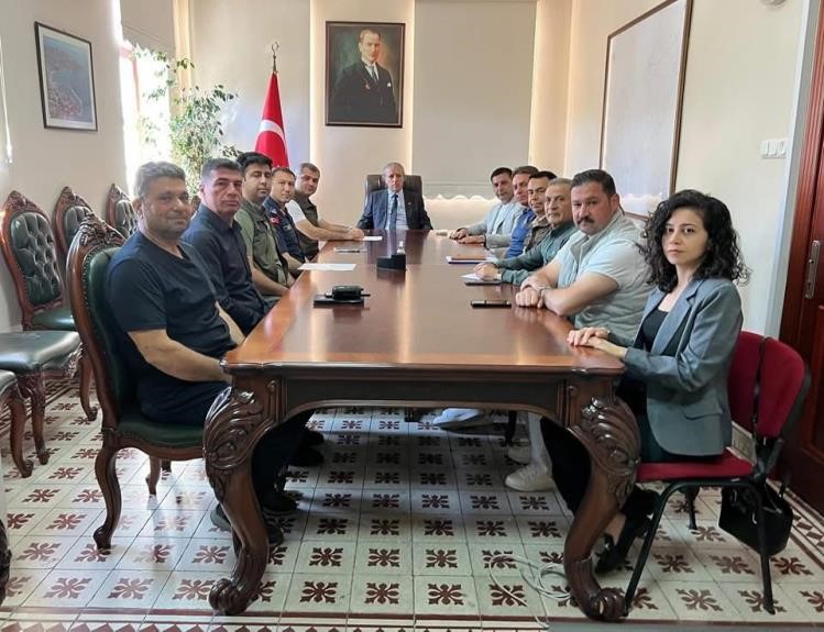 Aydın’da Yaban Domuzu Sorunu Büyüyor