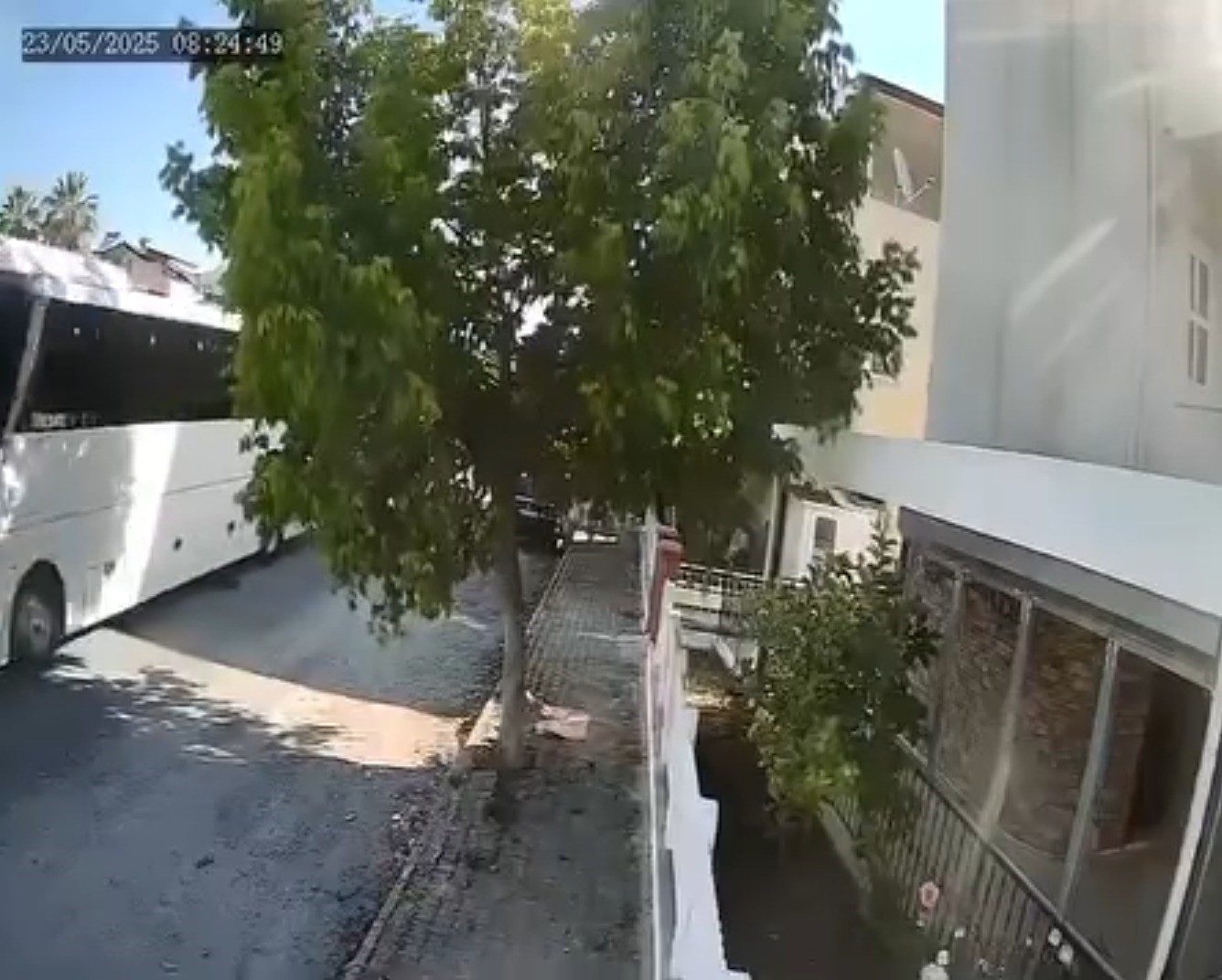 Aydın’da Yaşandı.. Göz Göre Göre Üzerinden Geçti