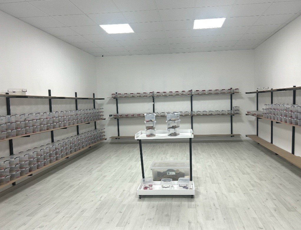 Aydın’daki Bu Işyerinde Zehir Üretiliyor (4)
