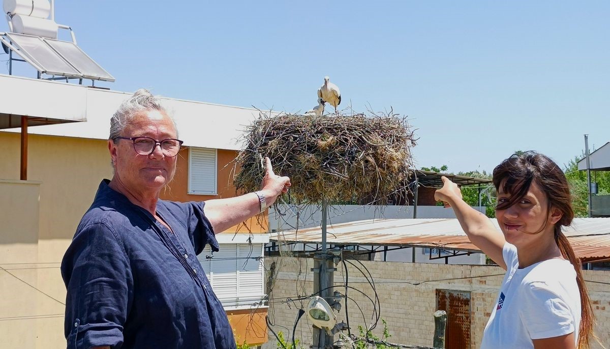 Aydın’daki Leylek Nüfusu Belirlendi (4)