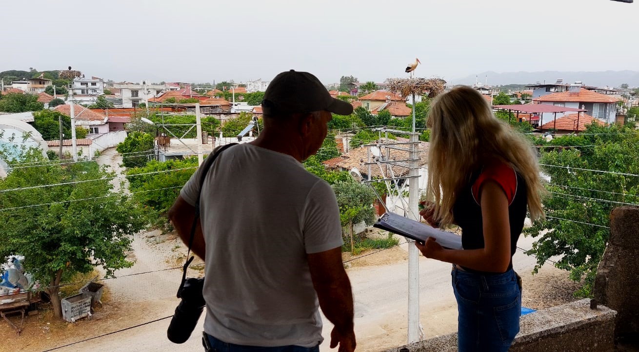 Aydın’daki Leylek Nüfusu Belirlendi (5)