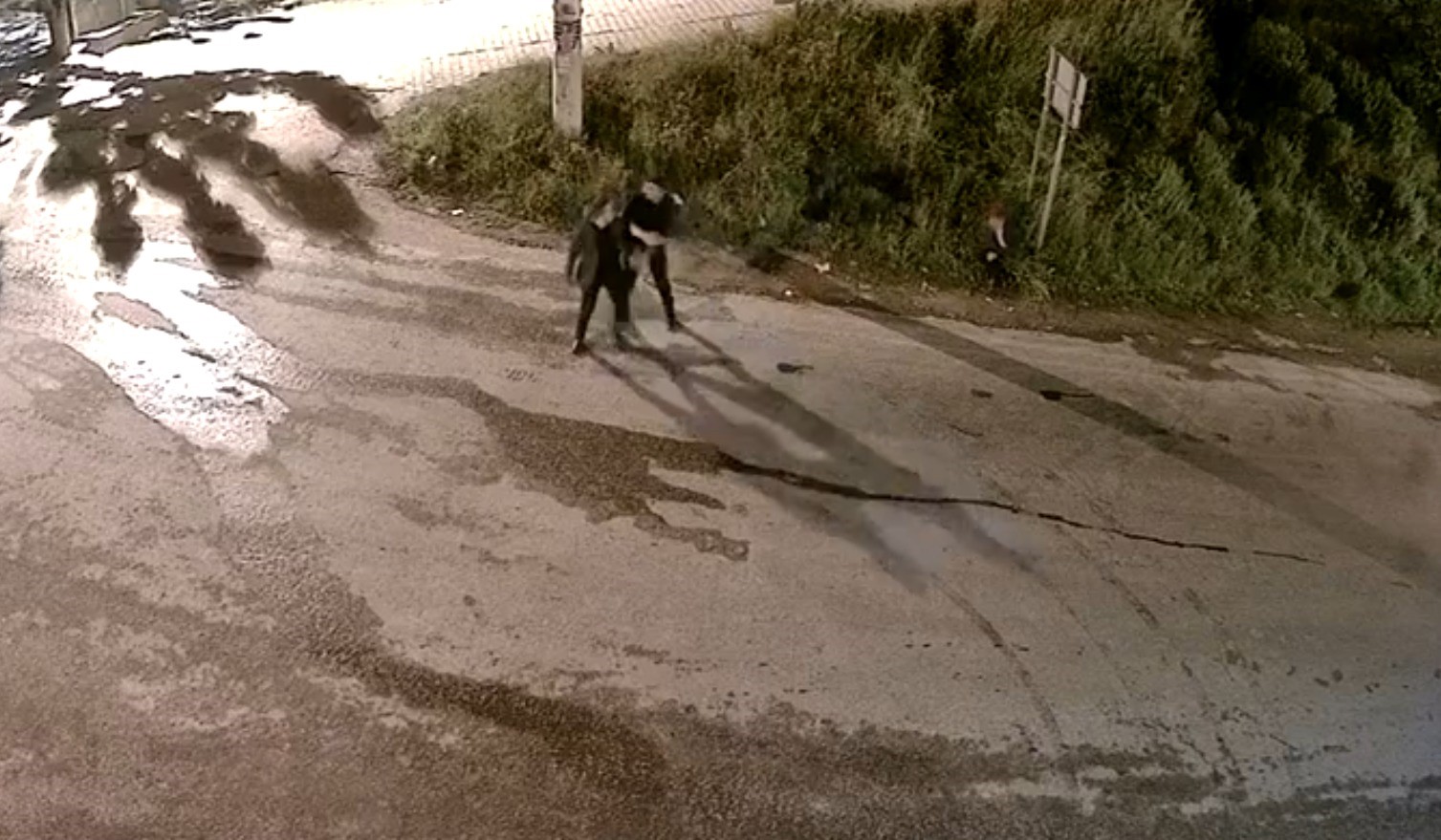 Aydın’daki Saldırının Görüntüleri Ortaya Çıktı (3)