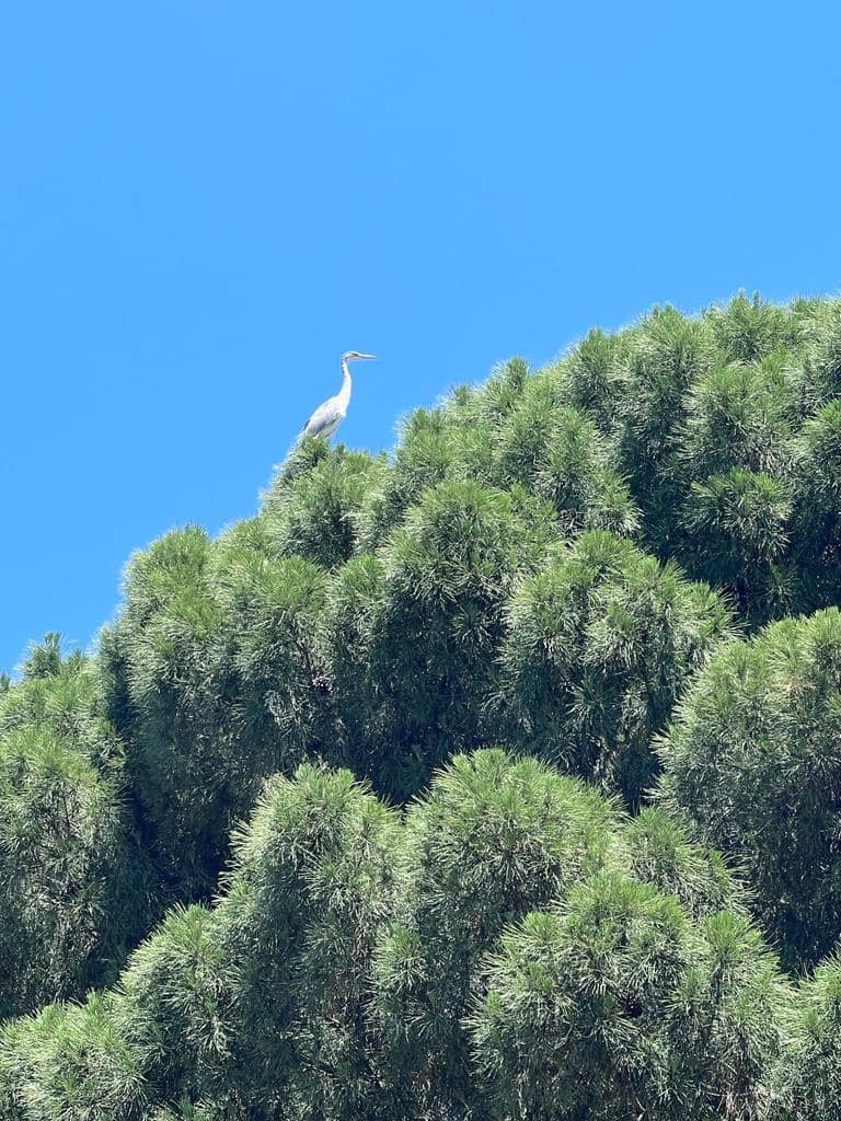 Aydın’ın En Sakin Ilçesinde Muhteşem Bir Köy.