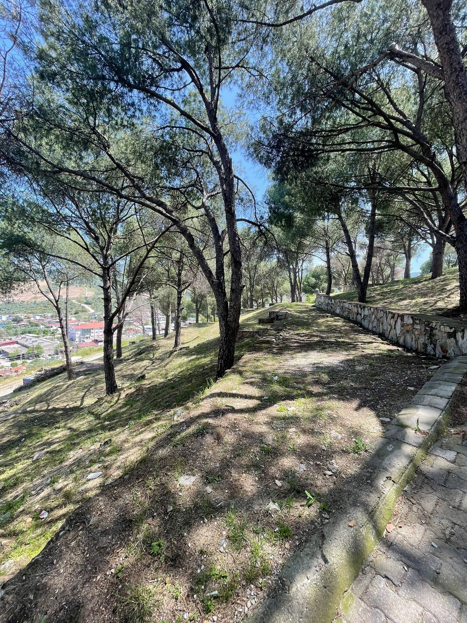 Aydın’ın Yeni Piknik Alanı (3)