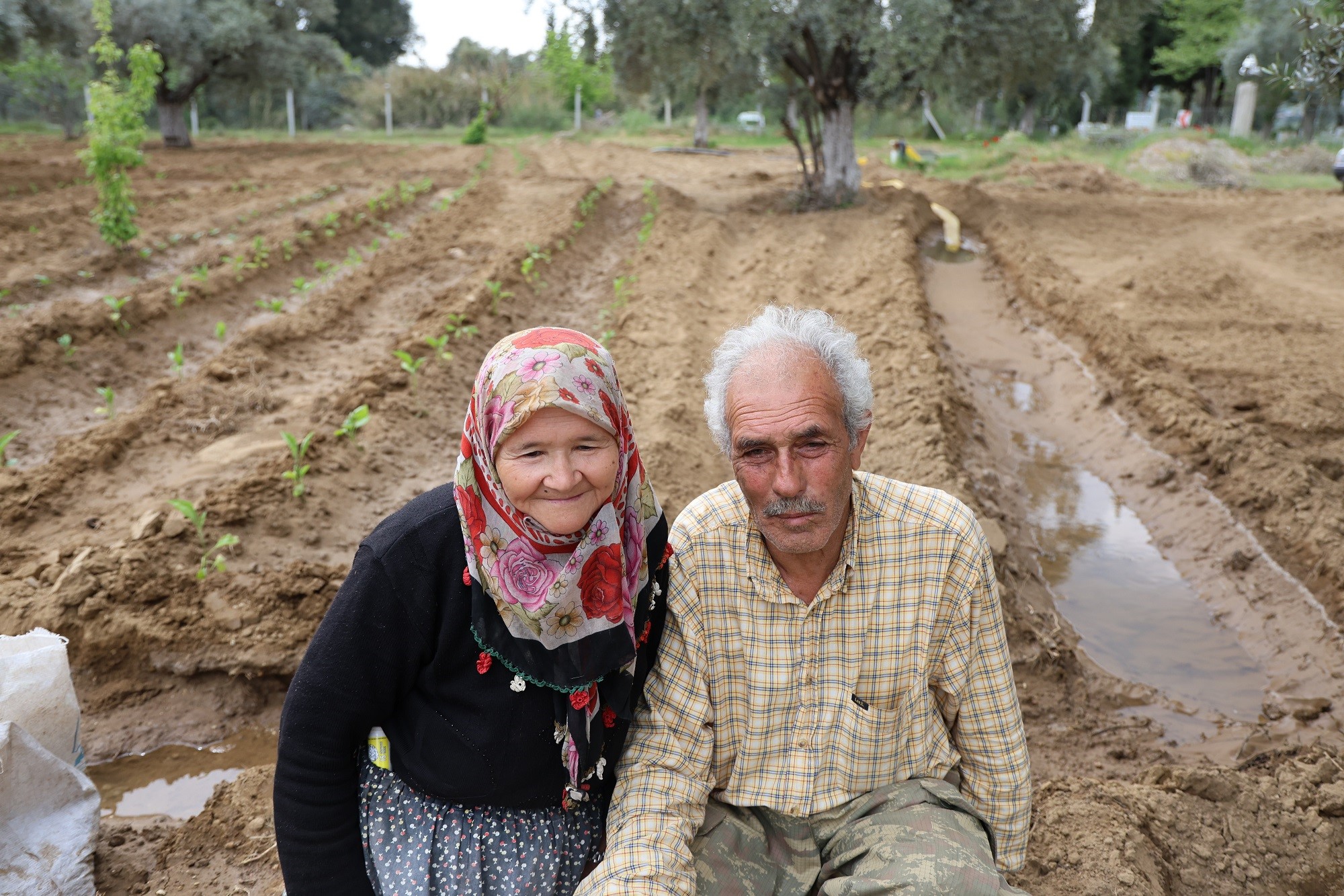 Aydınlı Çift Mutluluğu Toprakla Uğraşmakta Buldu (5)