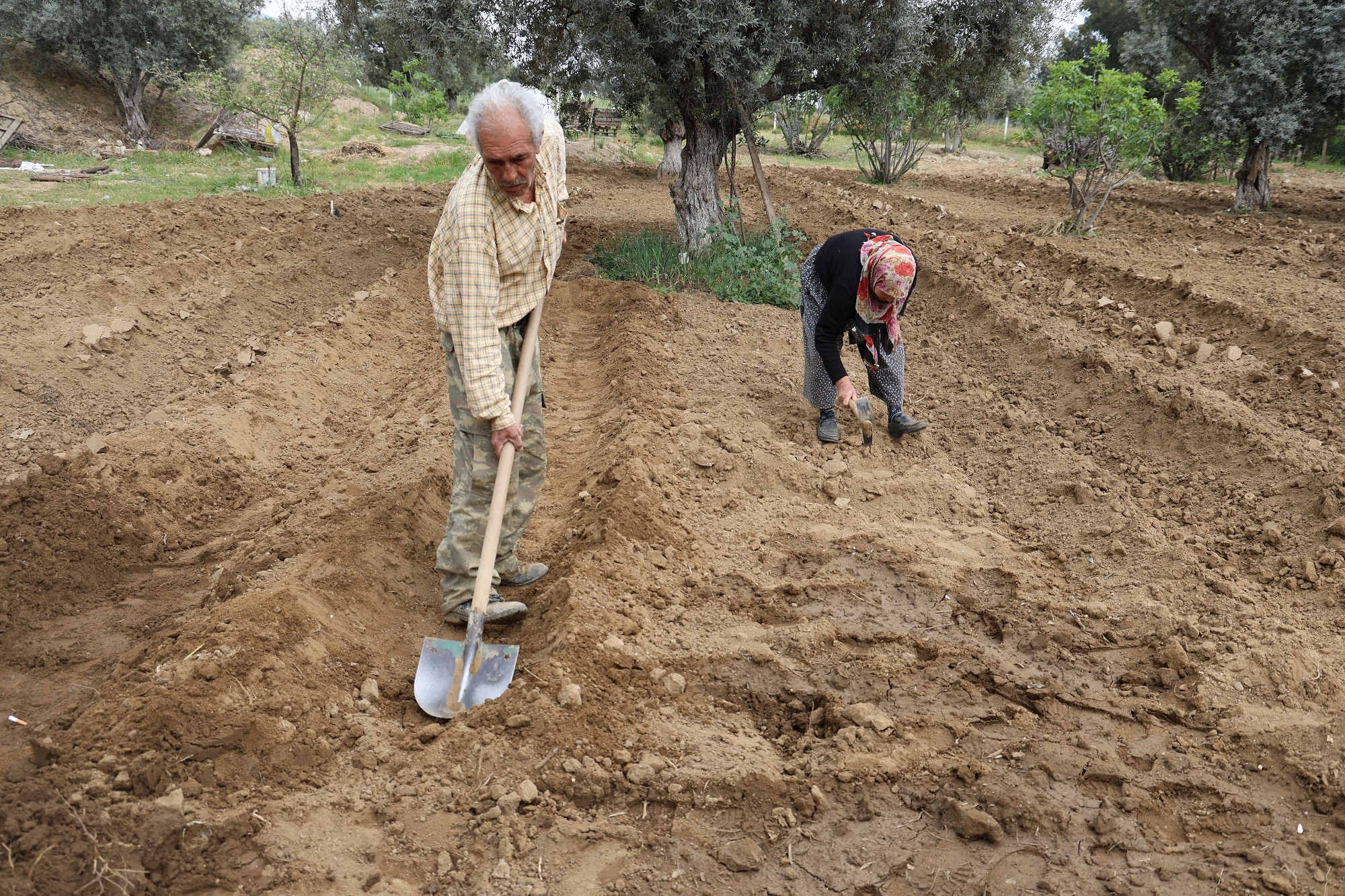 Aydınlı Çift Mutluluğu Toprakla Uğraşmakta Buldu (7)