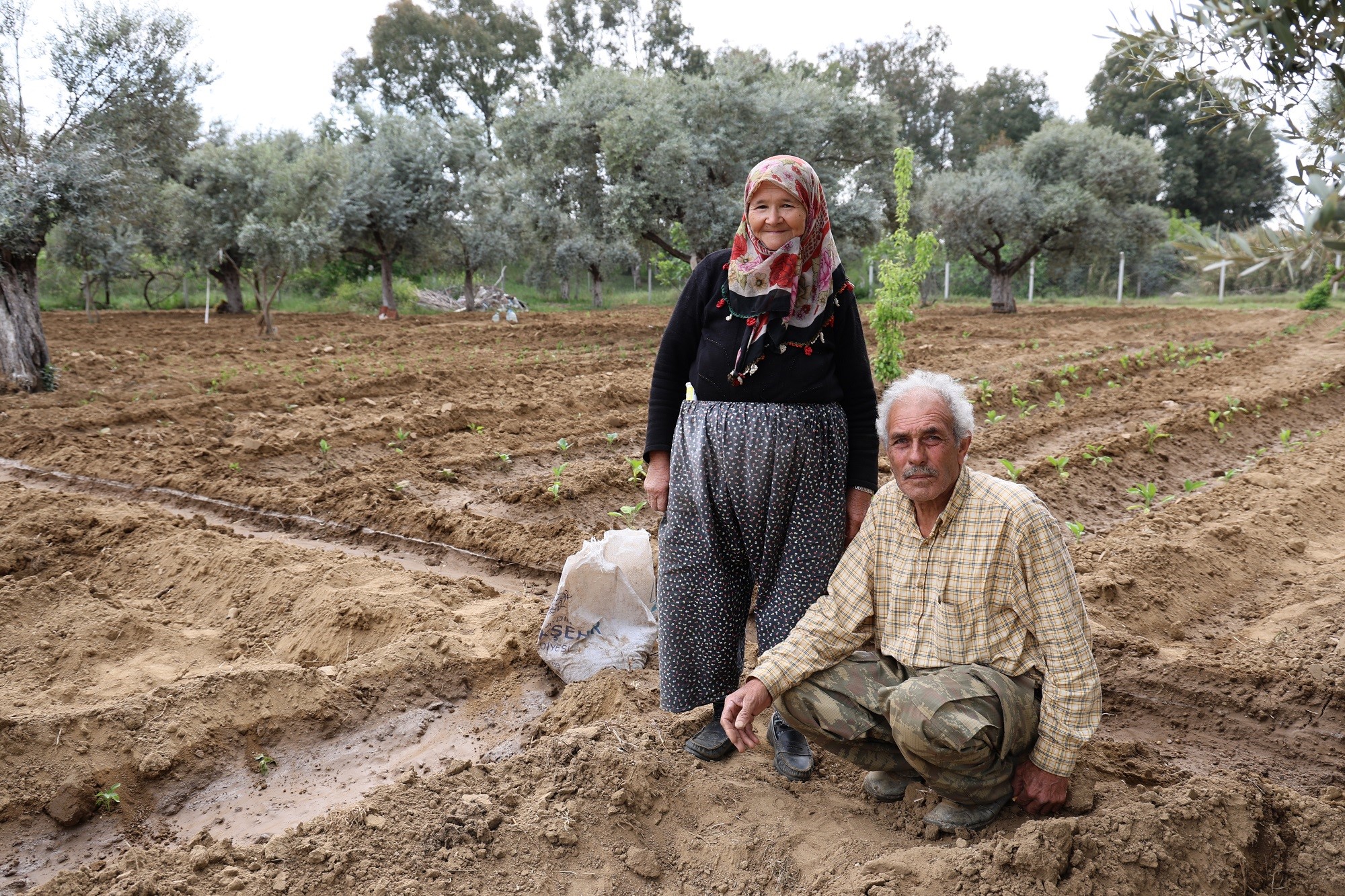 Aydınlı Çift Mutluluğu Toprakla Uğraşmakta Buldu