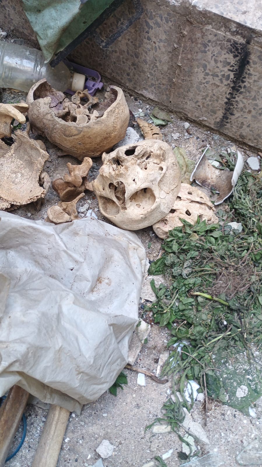 Binanın Kömürlüğünden 3 Kişiye Ait Iskelet Çıktı (2)