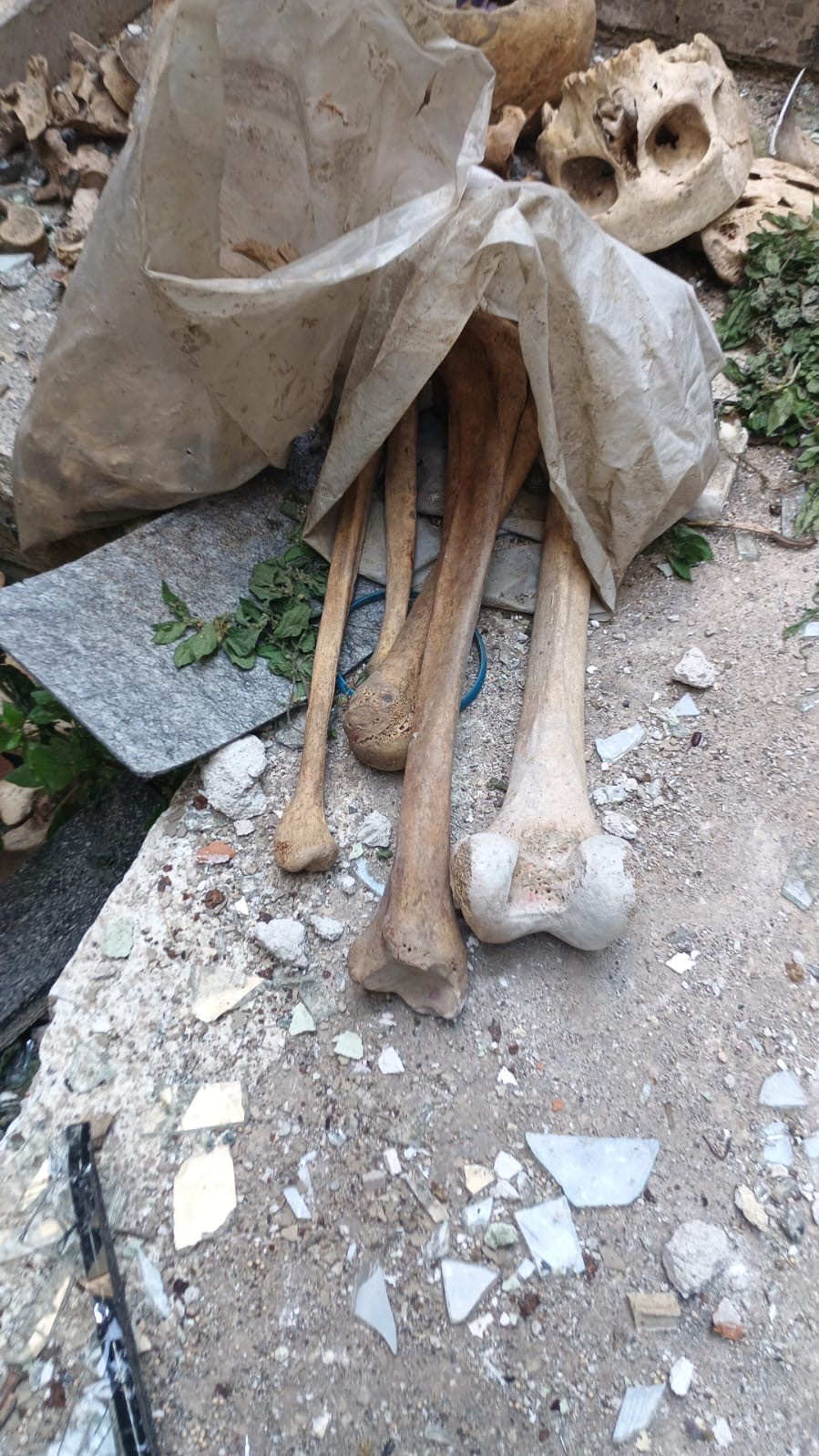 Binanın Kömürlüğünden 3 Kişiye Ait Iskelet Çıktı (3)