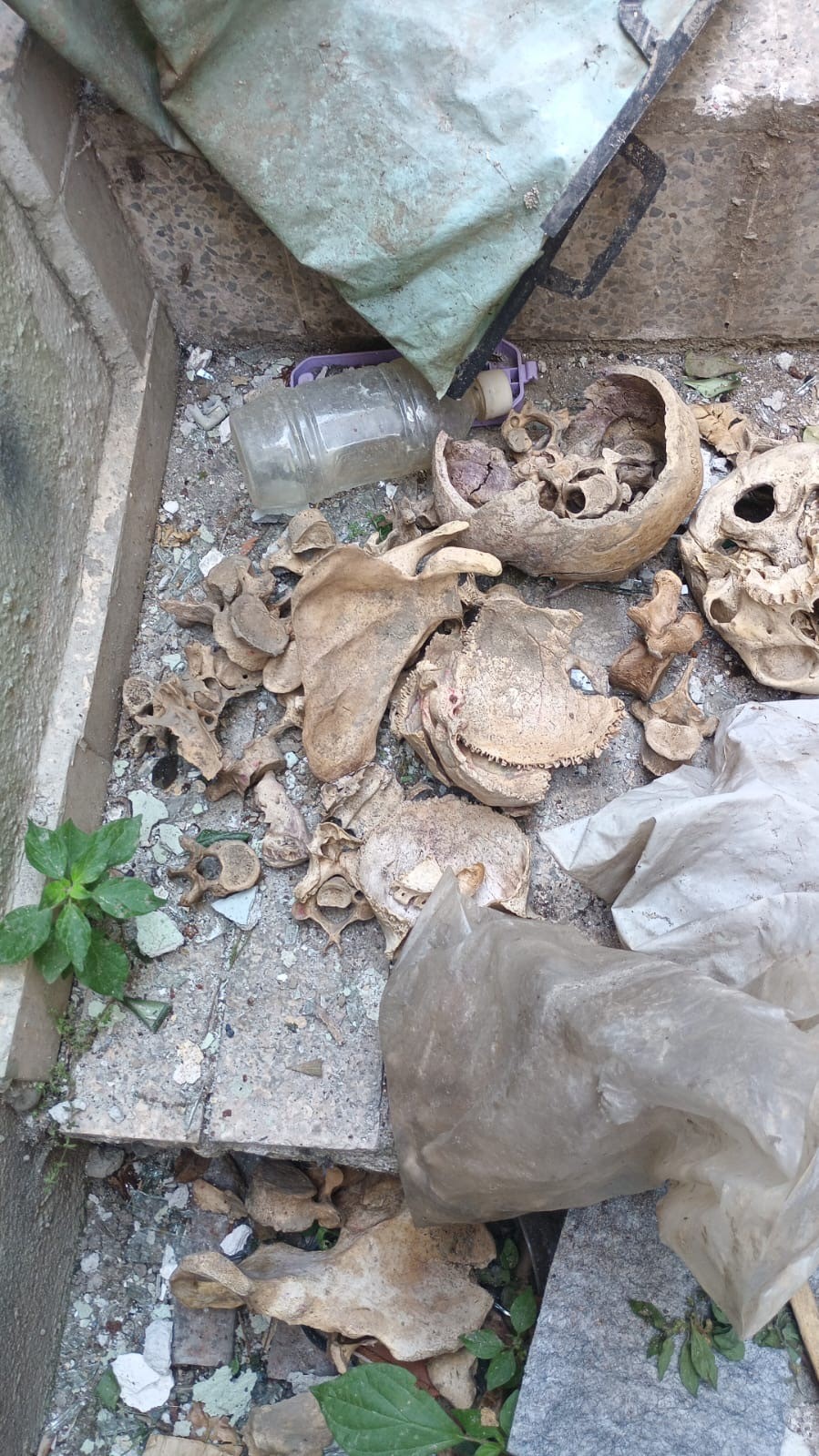 Binanın Kömürlüğünden 3 Kişiye Ait Iskelet Çıktı (4)