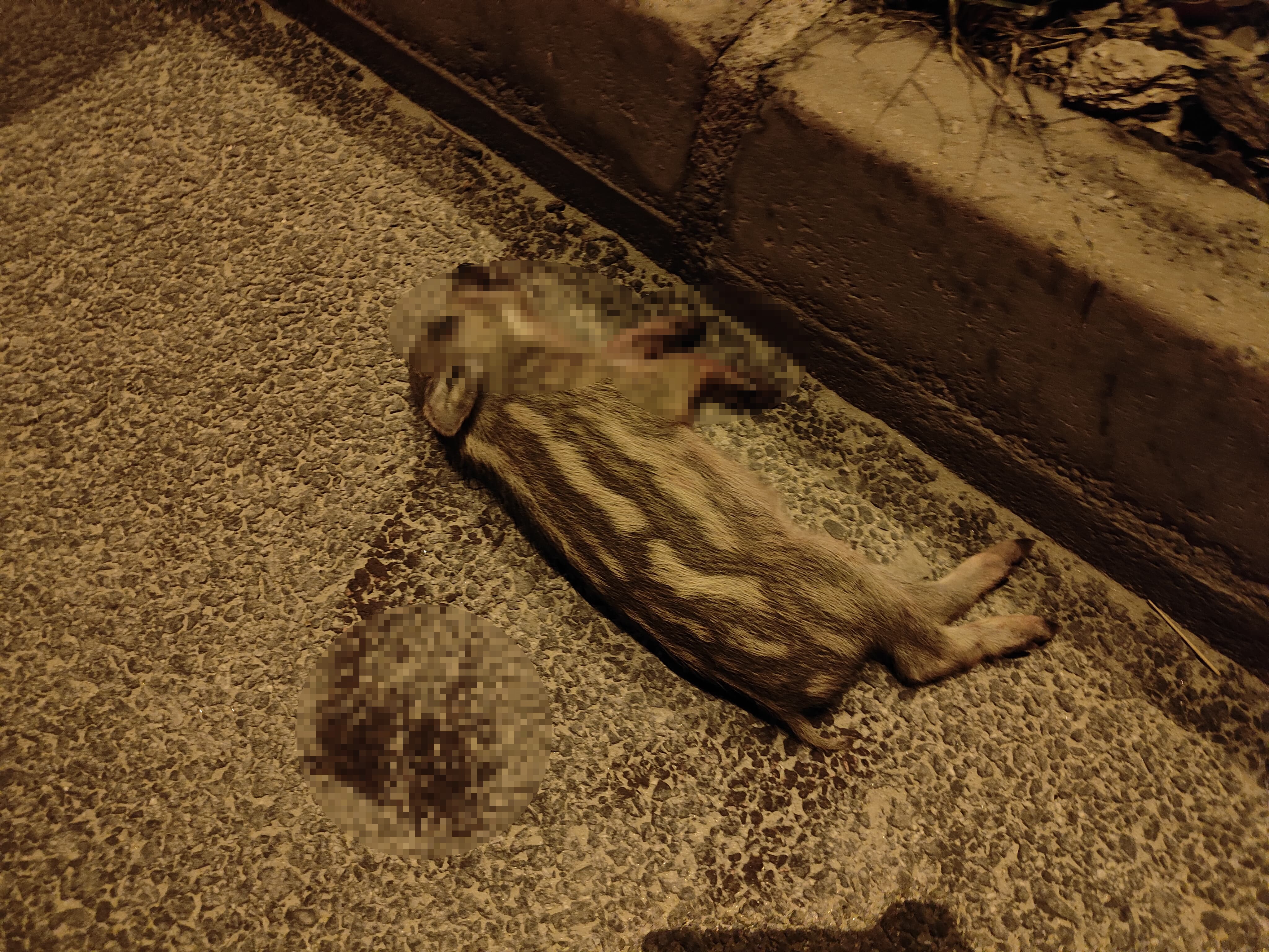 Bu Sorunu Artık Çözün (4)