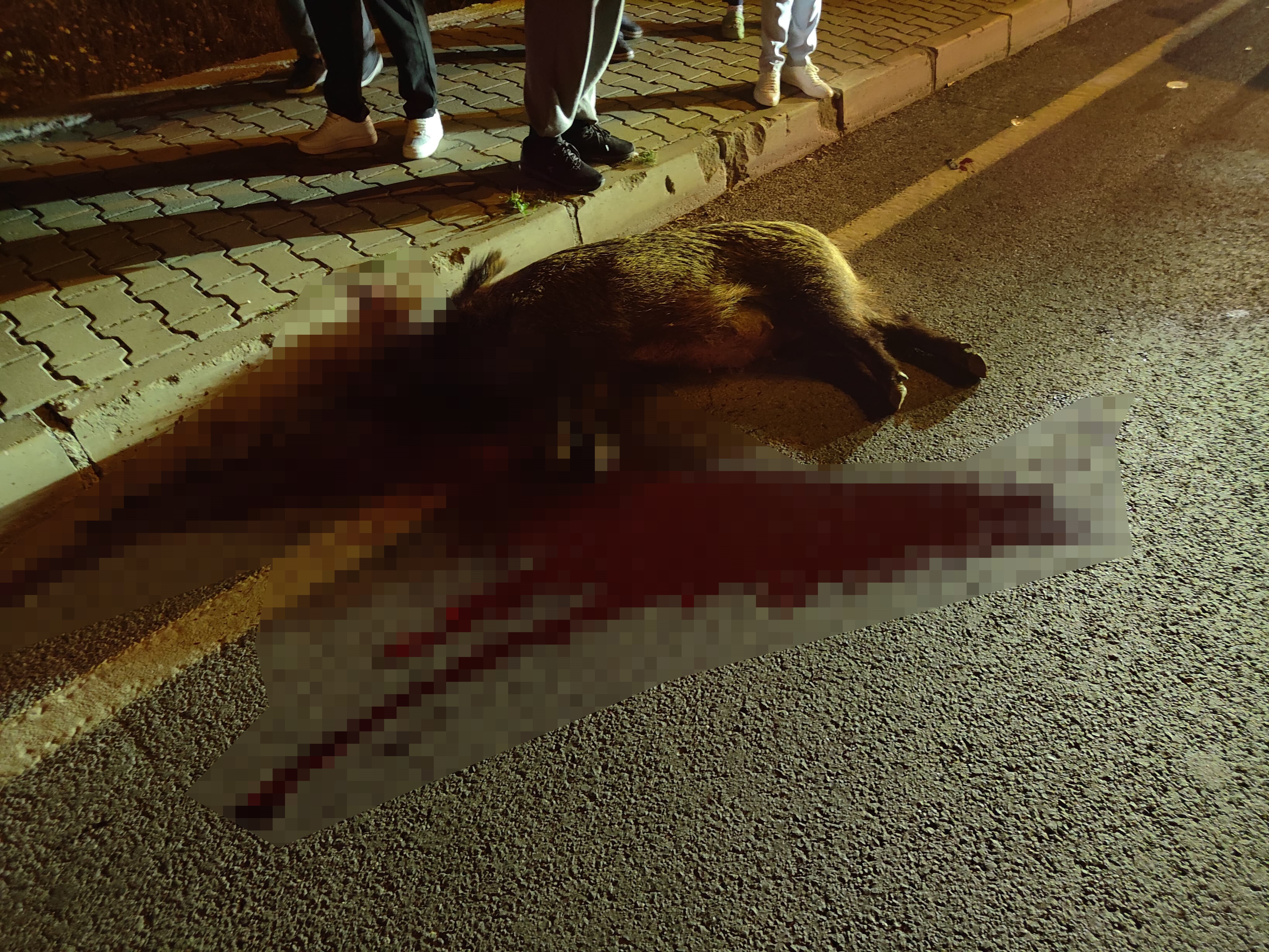 Bu Sorunu Artık Çözün (5)