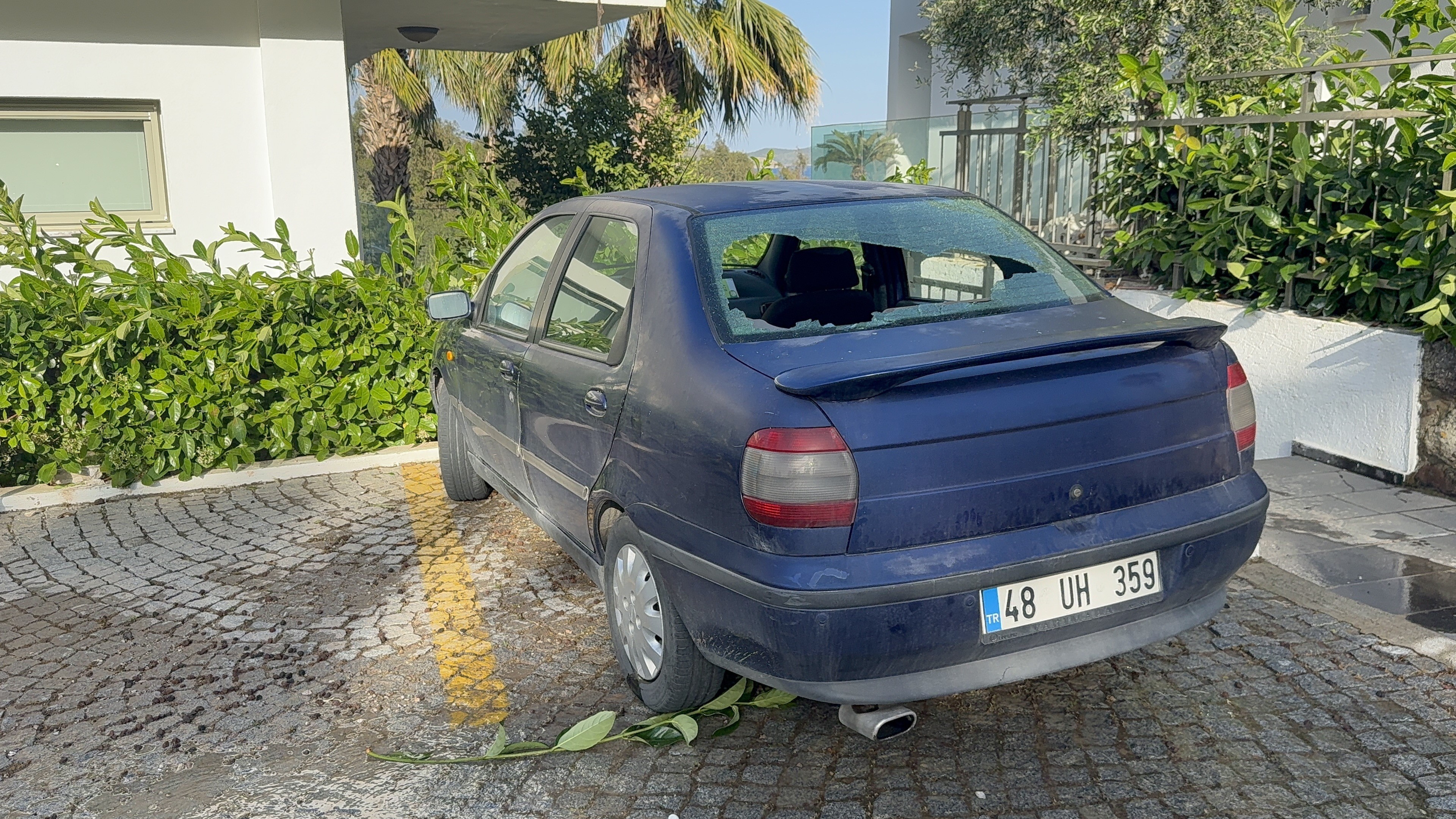 Camdan Dışarı Bakınca Ne Olduğunu Anladılar (8)
