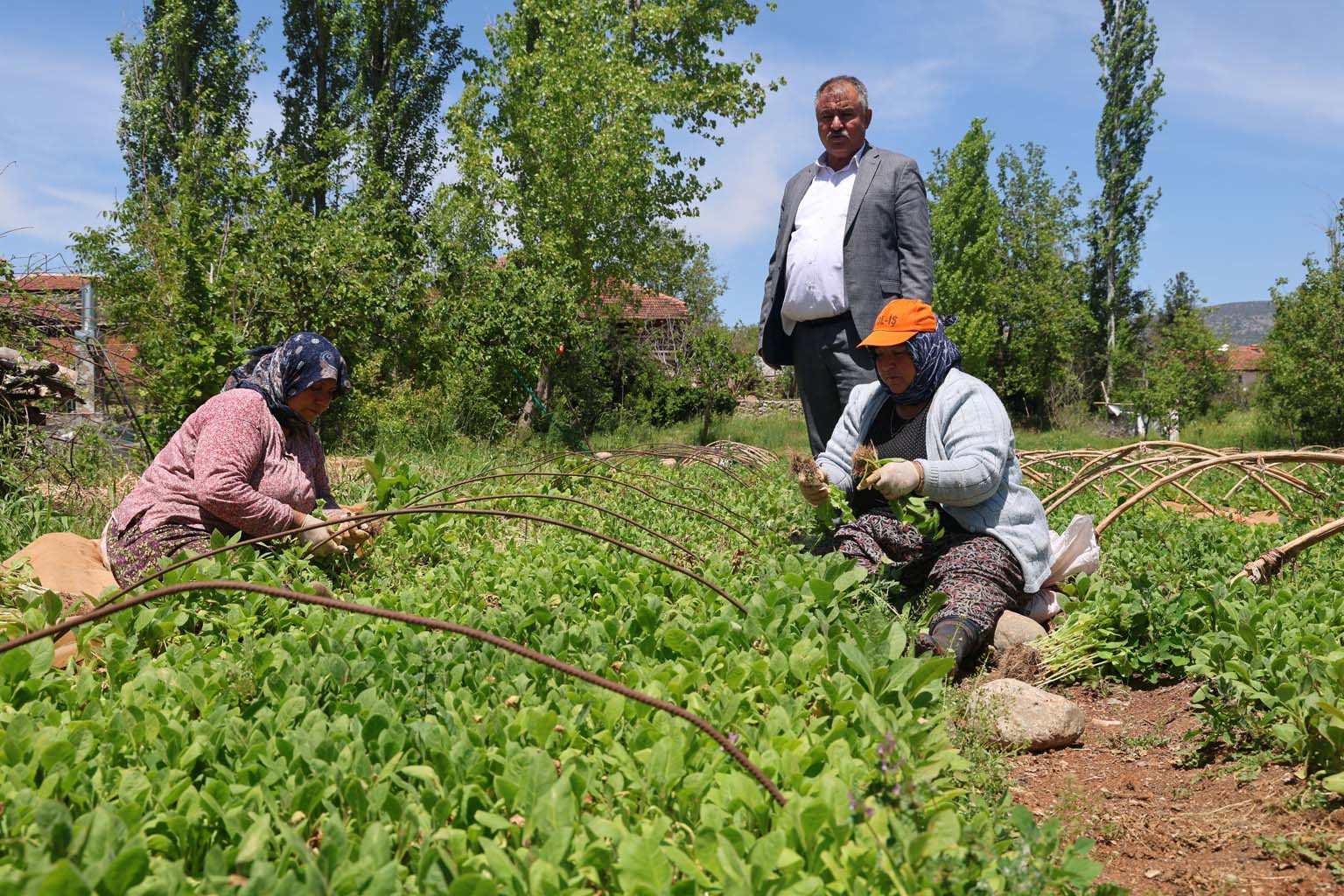 Çiftçiler Yeni Karar Aldı (4)
