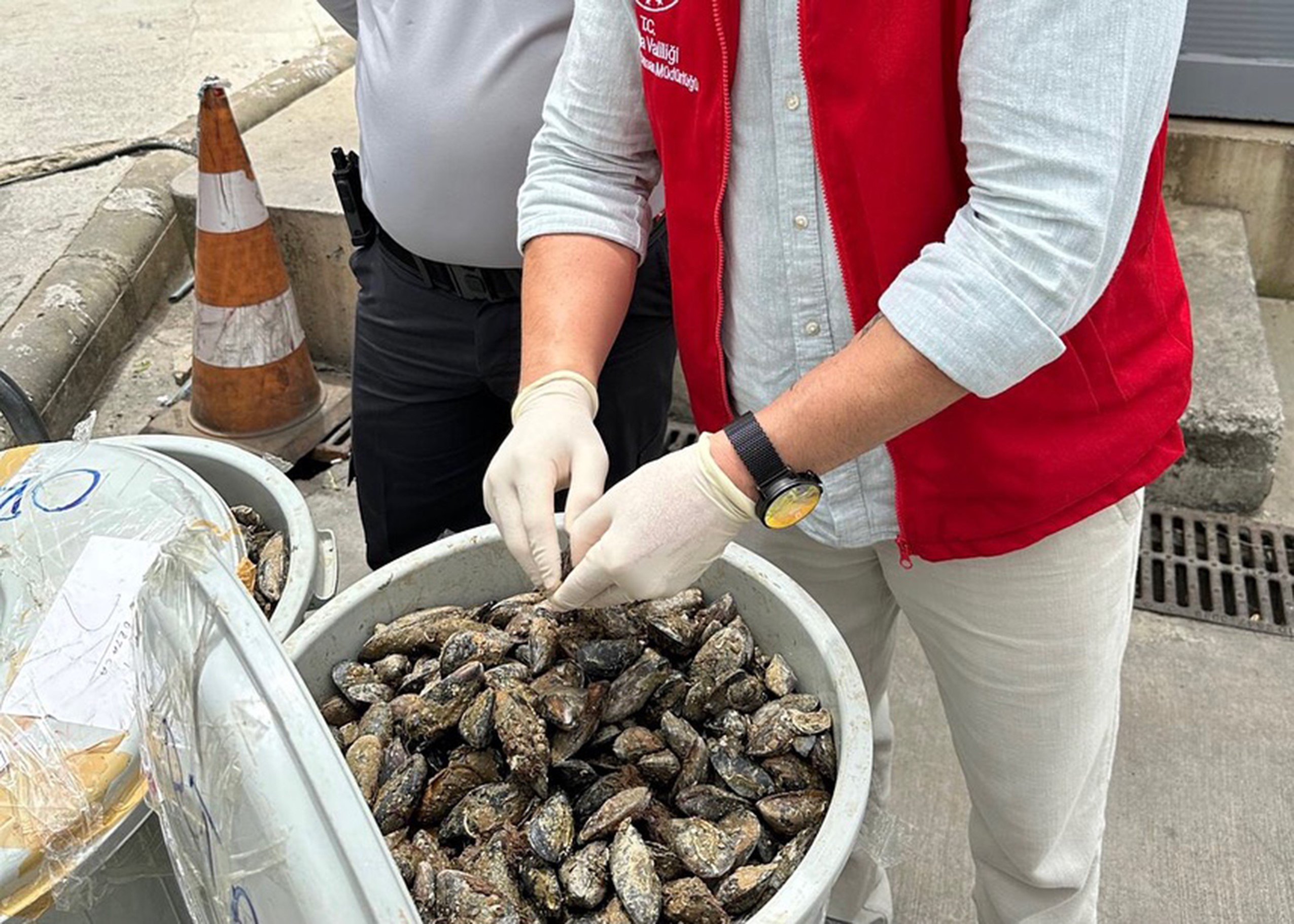 Çöp Kovasından 100 Kilo Midye Çıktı, Ekipler El Koydu (2)