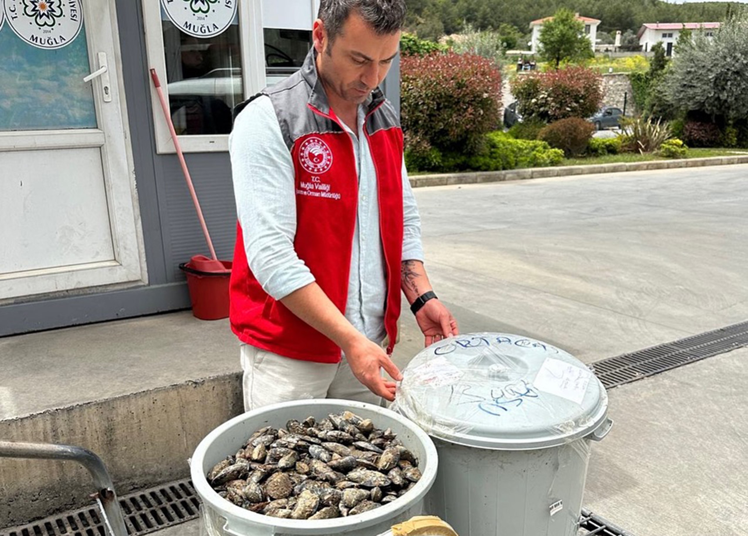 Çöp Kovasından 100 Kilo Midye Çıktı, Ekipler El Koydu