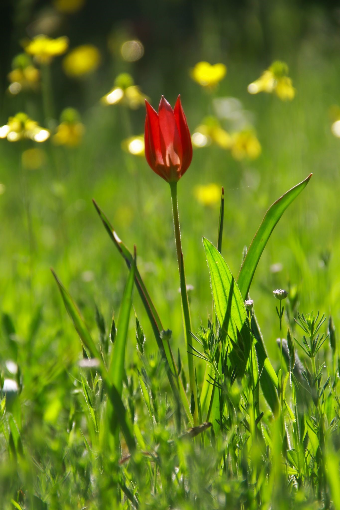 Ege’de Muhteşem Görüntüler. (6)
