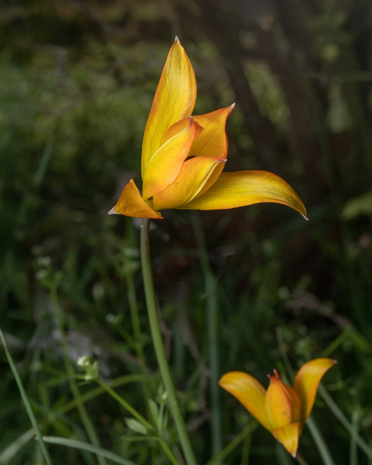 Ege’de Muhteşem Görüntüler. (7)