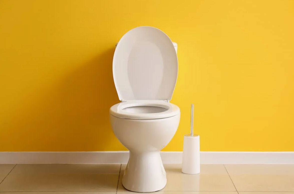 Evdeki En Kirli Yer Belli Oldu-1