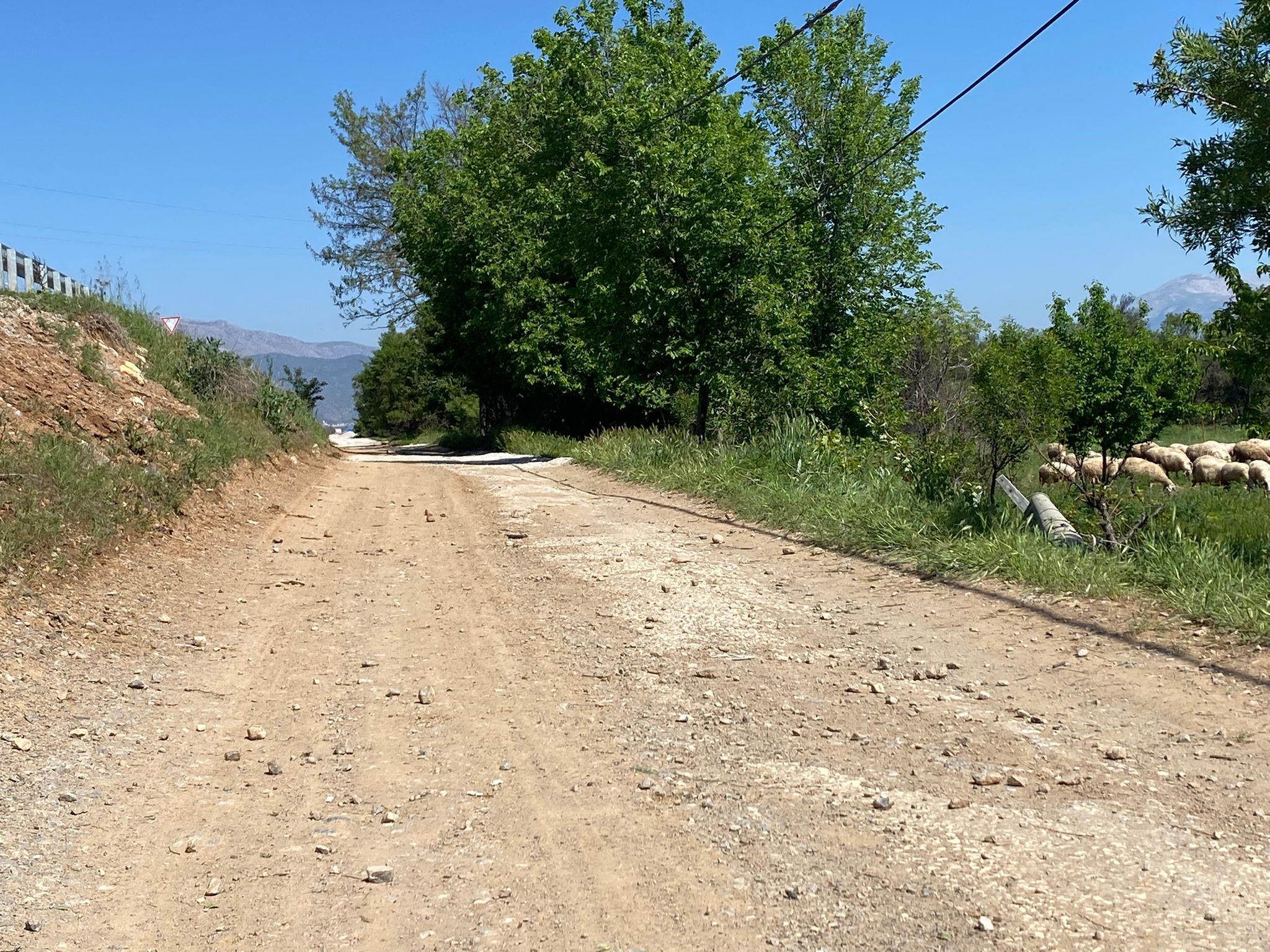 Feci Olayda 2 Kişi Hayatını Kaybetti, 1 Kişi Ağır Yaralandı (6)