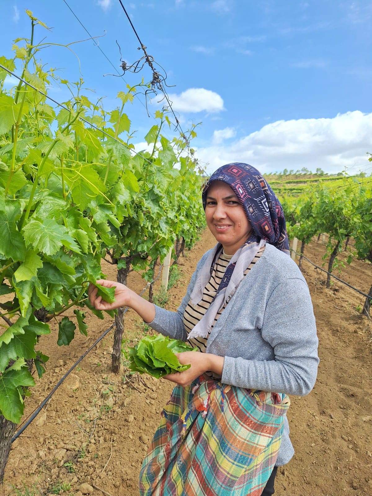 Günlük 1300 1500 Lira Para Kazanıyorlar (2)