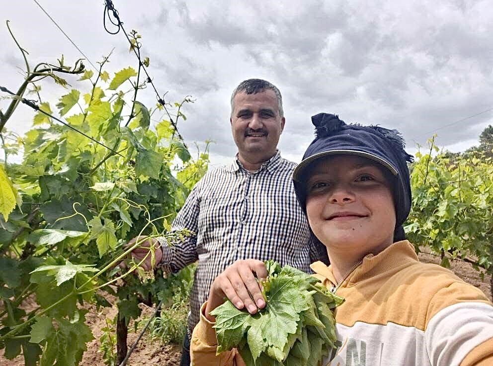 Günlük 1300 1500 Lira Para Kazanıyorlar (6)