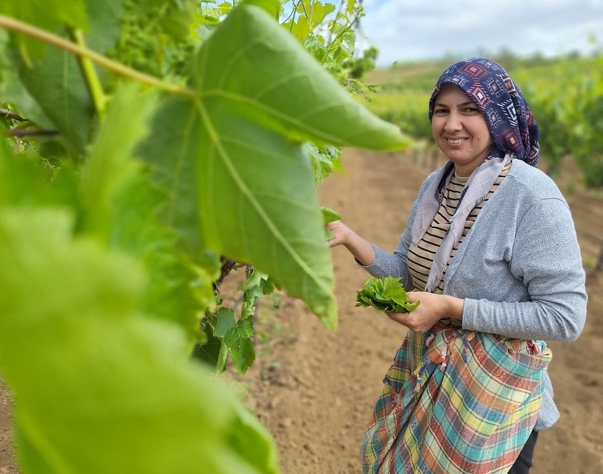 Günlük 1300 1500 Lira Para Kazanıyorlar