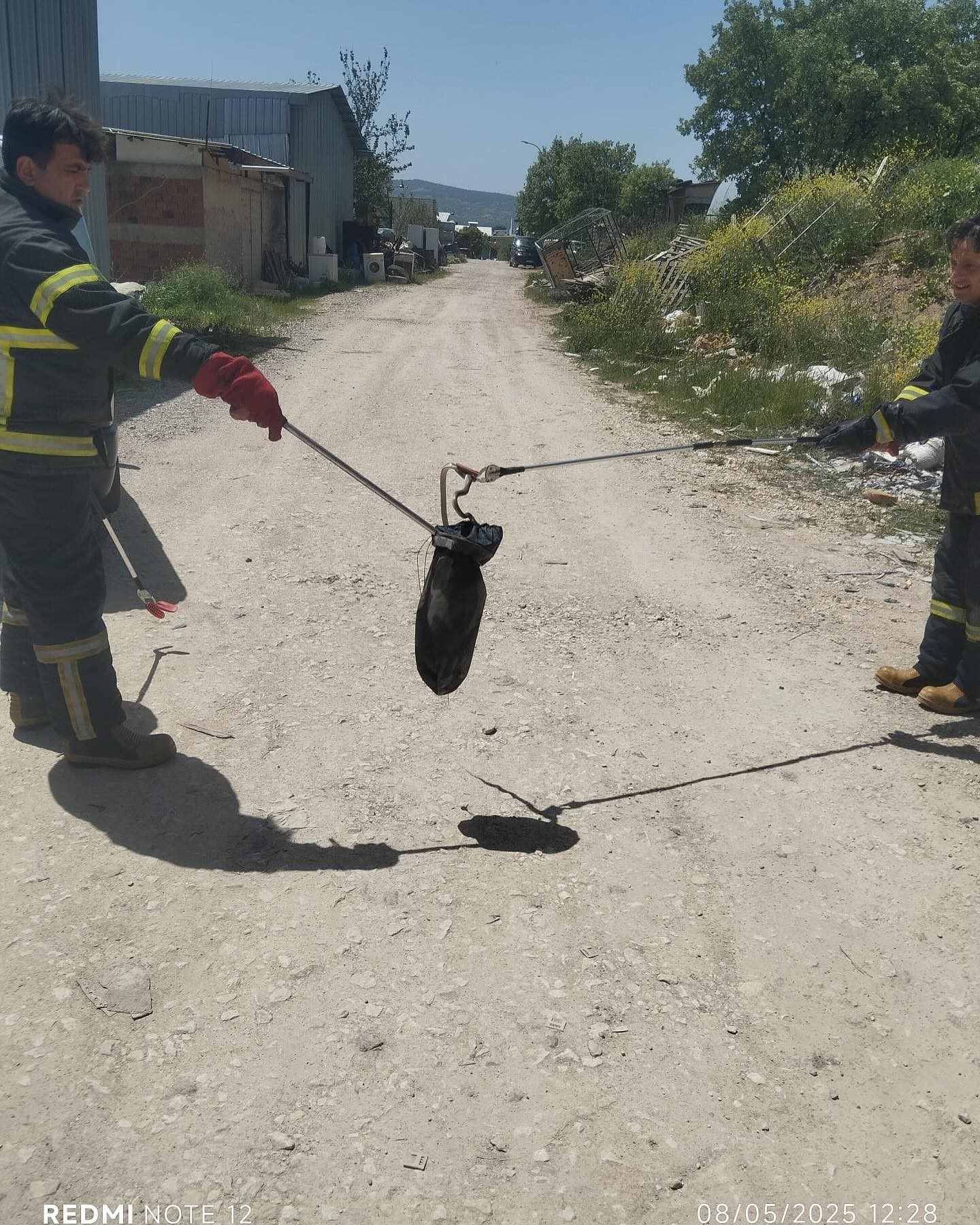 Havalar Isındı, Yılanlar Çıktı
