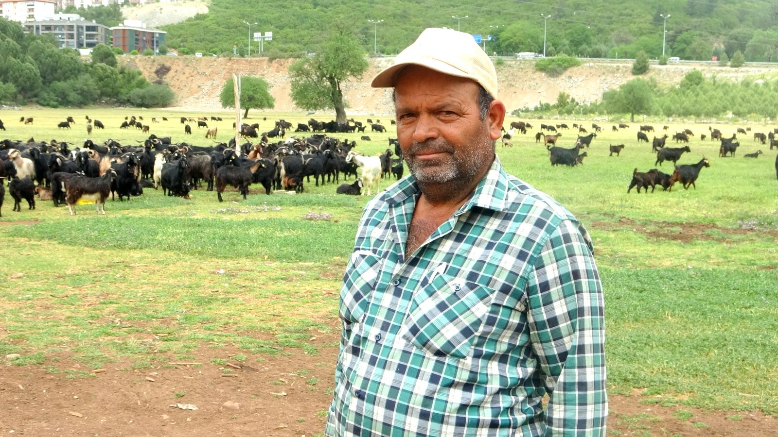 Kurban Fiyatları Yüksek, Vatandaş Yanına Bile Yanaşamıyor (5)