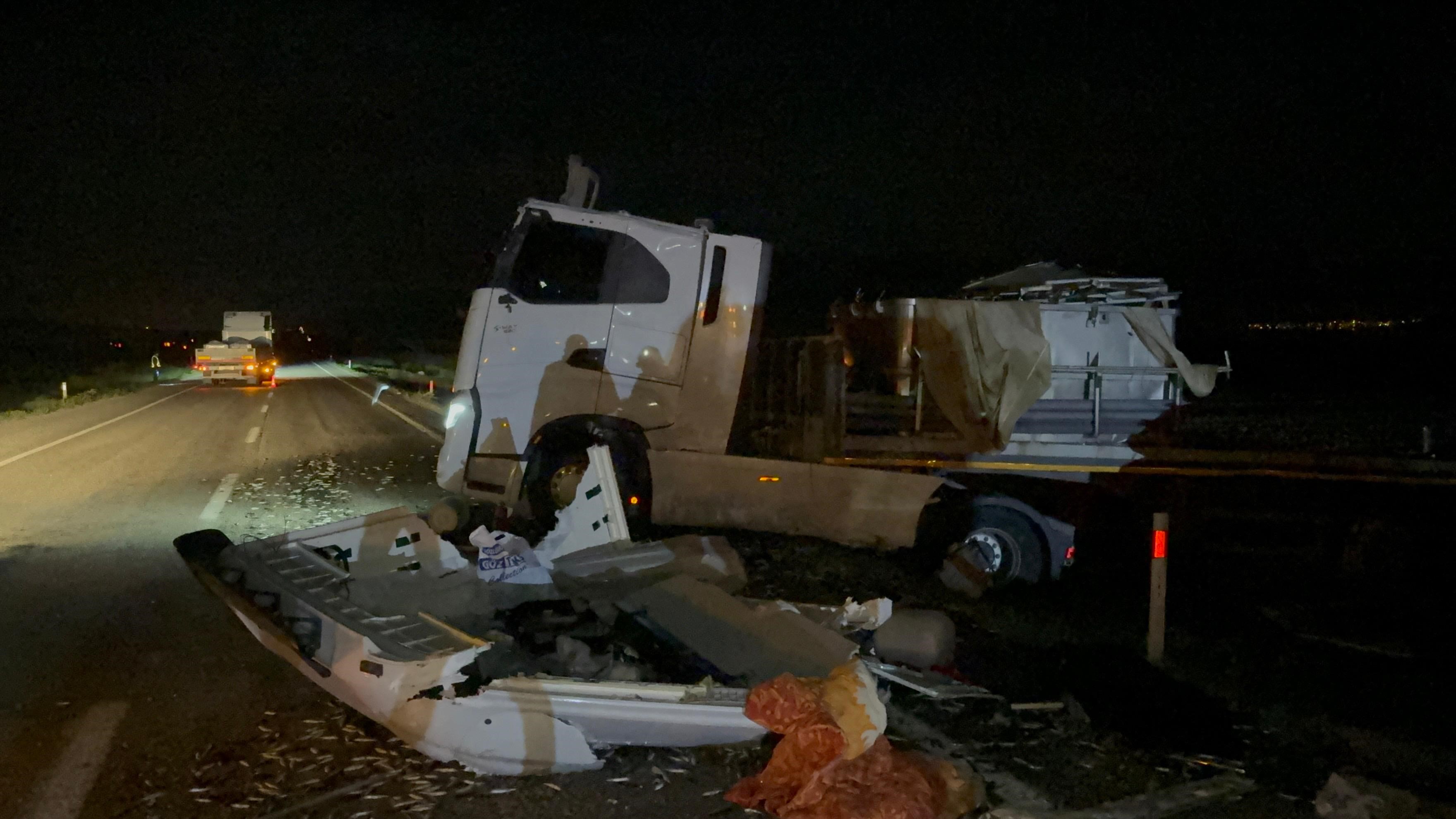 Tır Devrildi, Balıklar Telef Oldu (4)