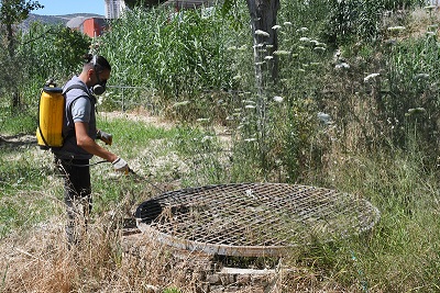 Vektörel Mücadele (1)-1