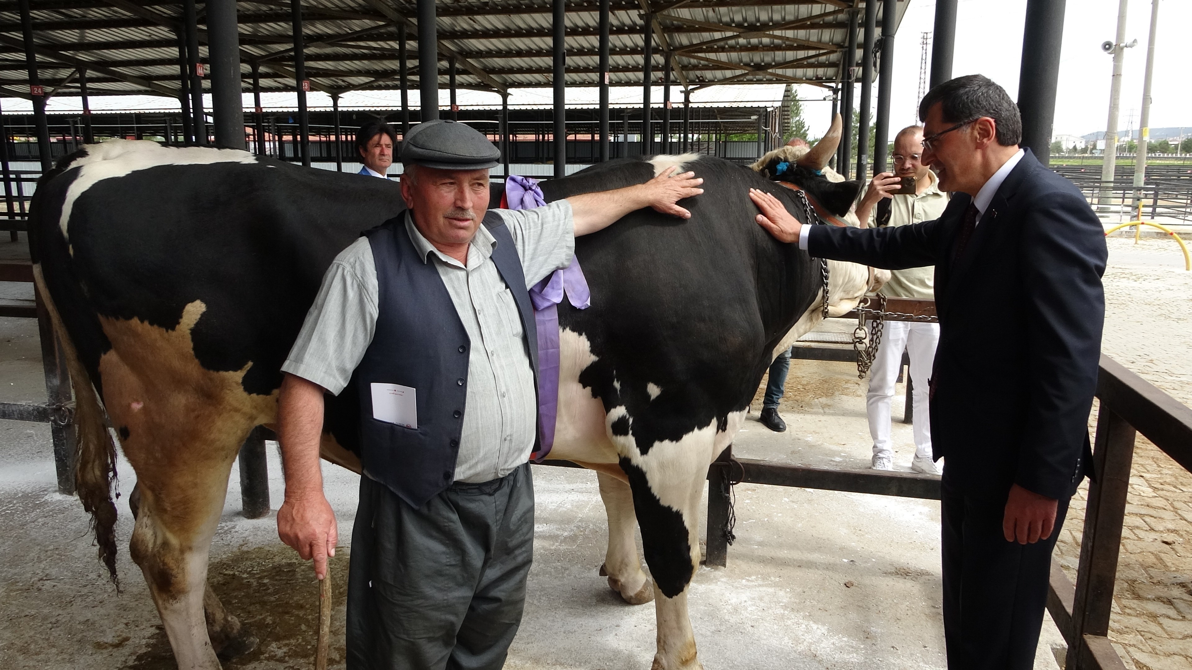 1 Ton 200 Kiloluk Kurbanlık Araba Parasına Satıldı (4)