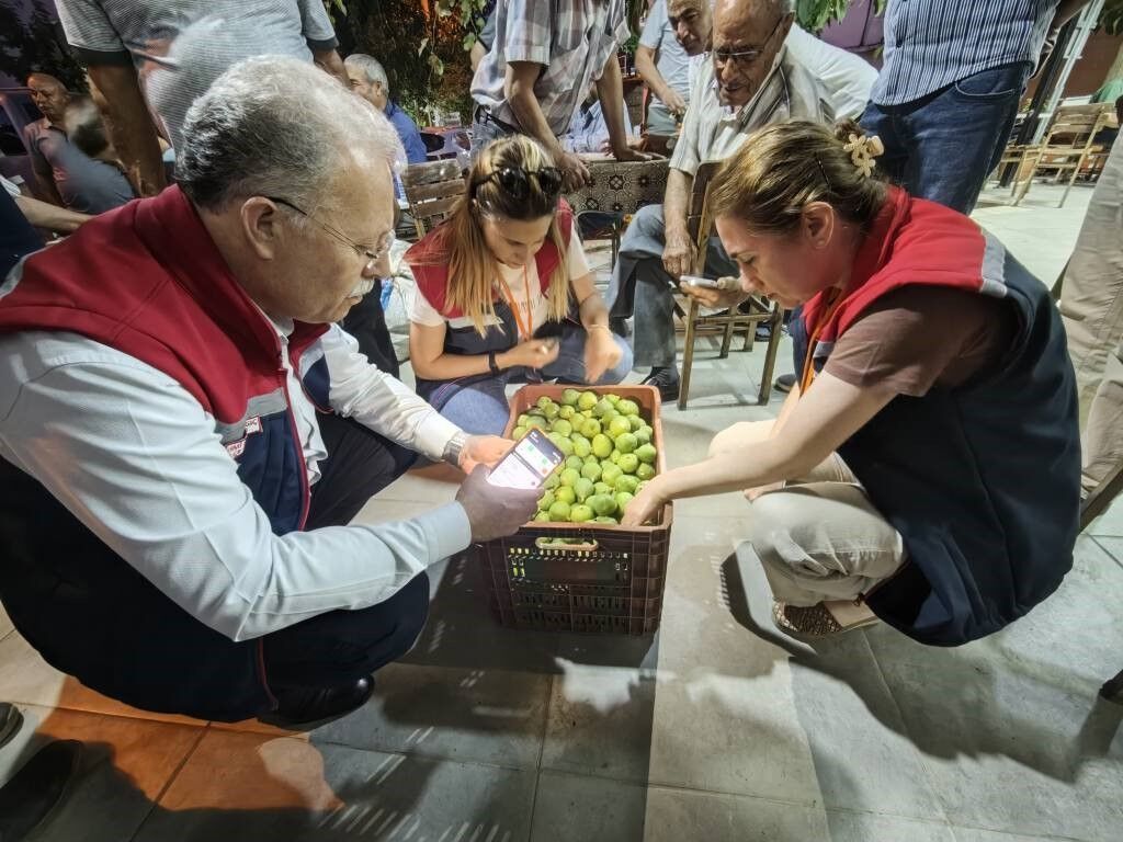 Aydın Dikkat! İlek Uyarısı Yapıldı (3)
