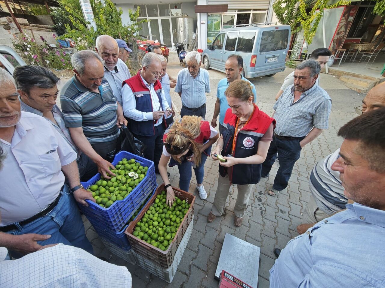Aydın Dikkat! İlek Uyarısı Yapıldı (7)