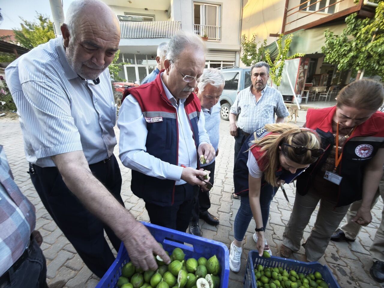 Aydın Dikkat! İlek Uyarısı Yapıldı