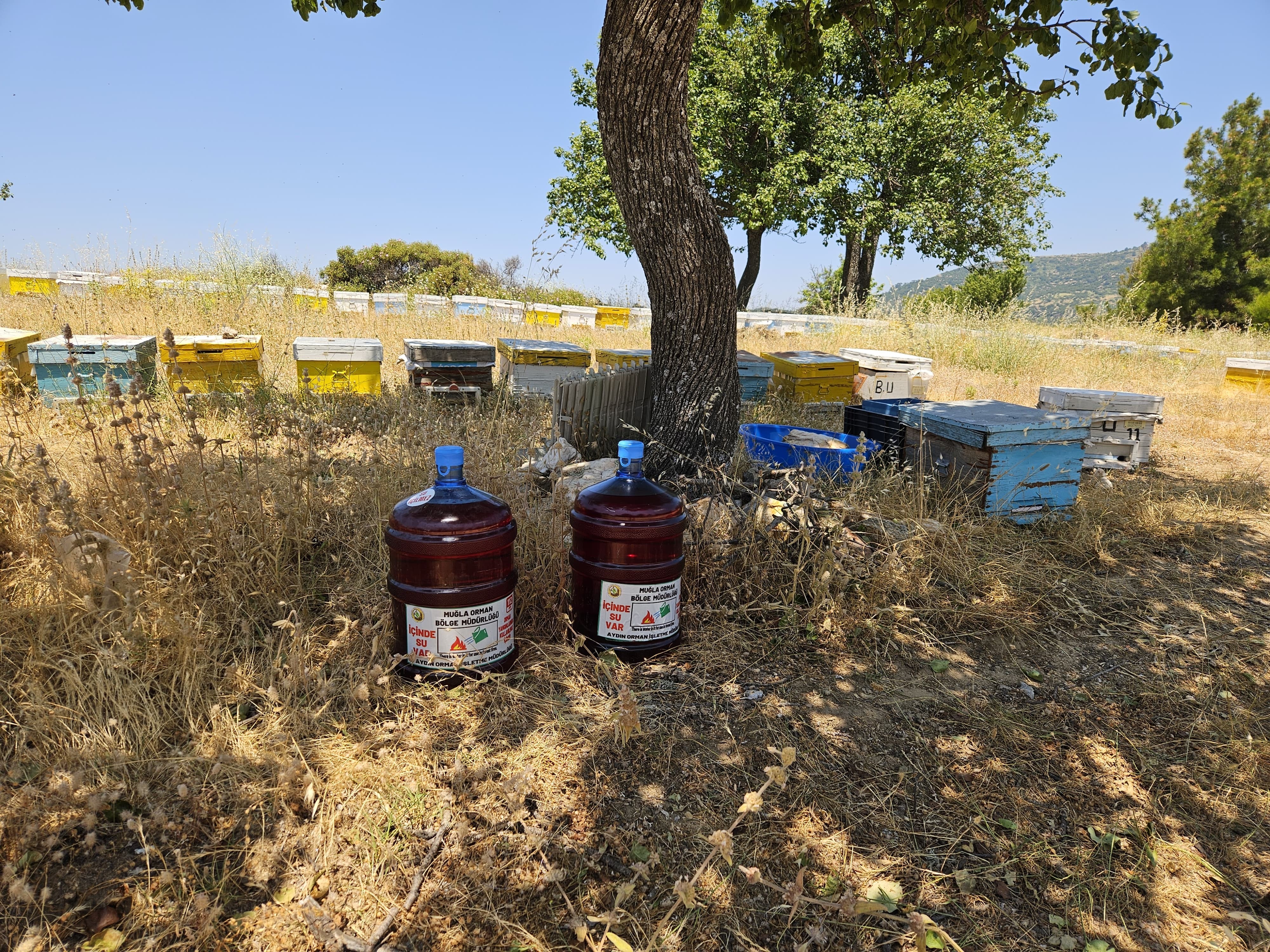 Aydın’da 1000 Adet Damacana Bırakıldı (5)