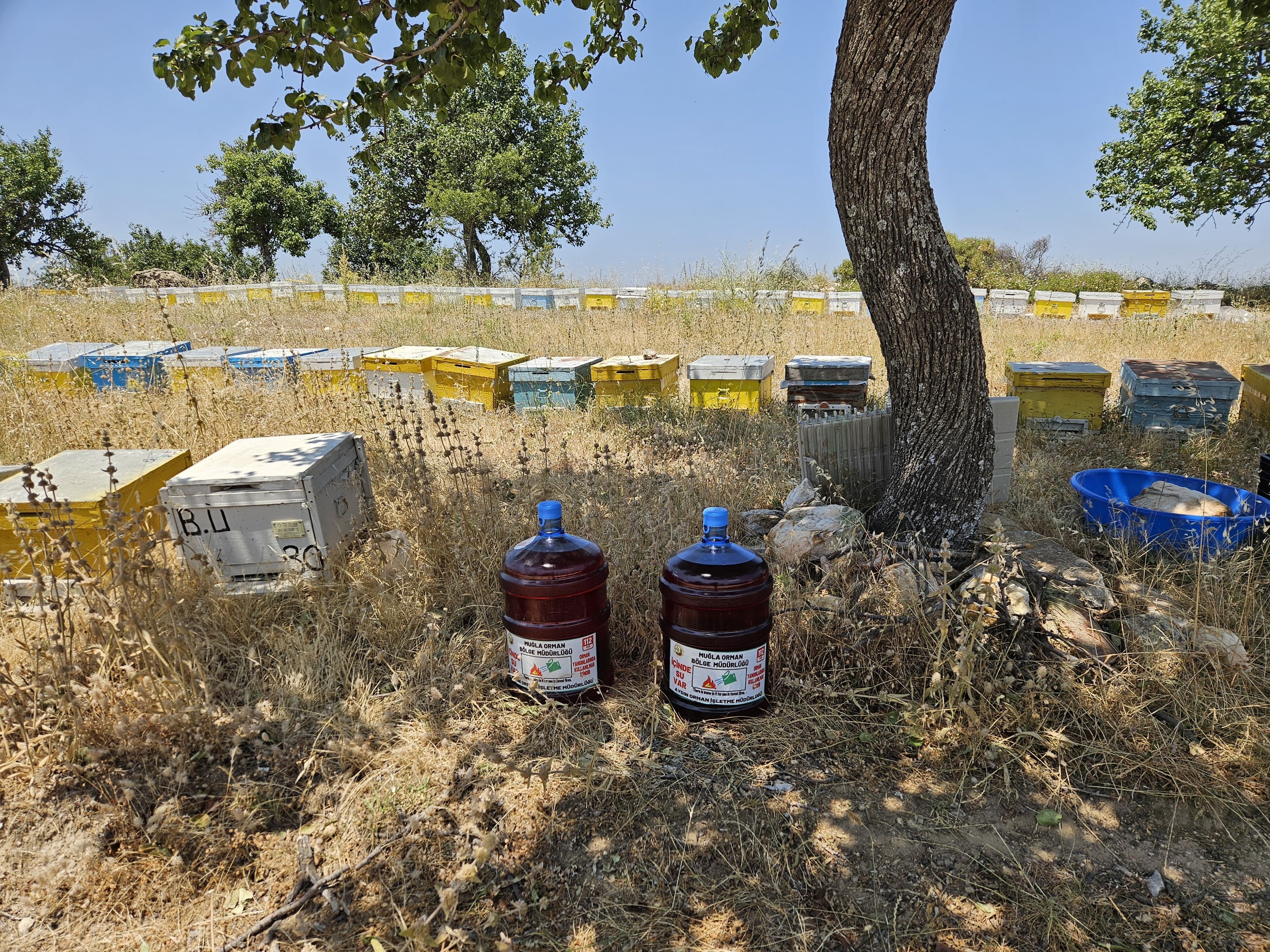 Aydın’da 1000 Adet Damacana Bırakıldı (6)