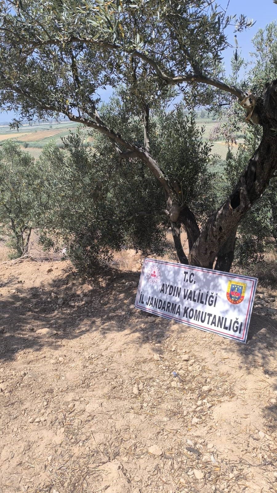 Aydın’da 6 Erkek Arazide Yakalandı (3)