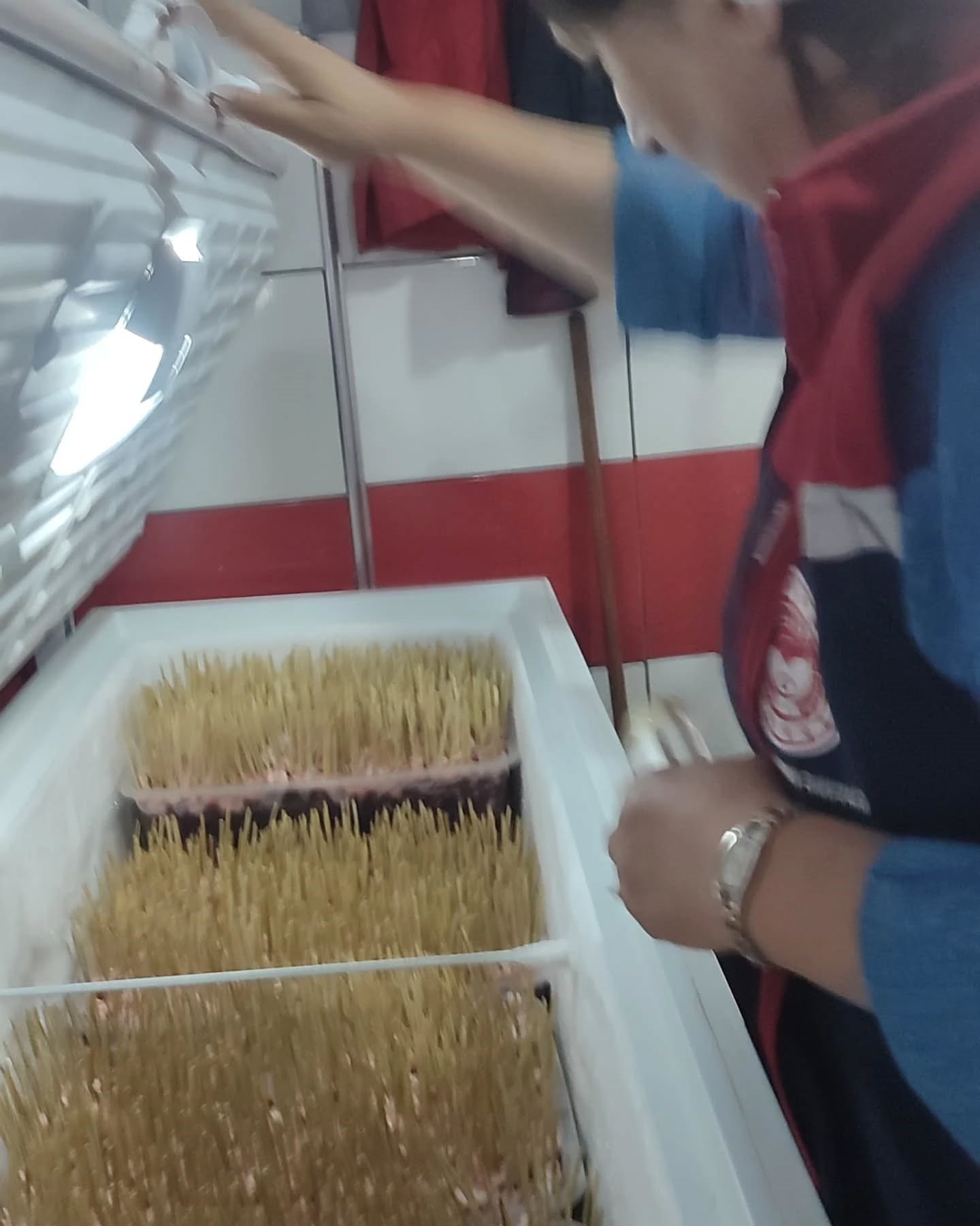 Aydın’da Çöp Şişte Domuz Ve Eşek Eti Kontrolü (3)