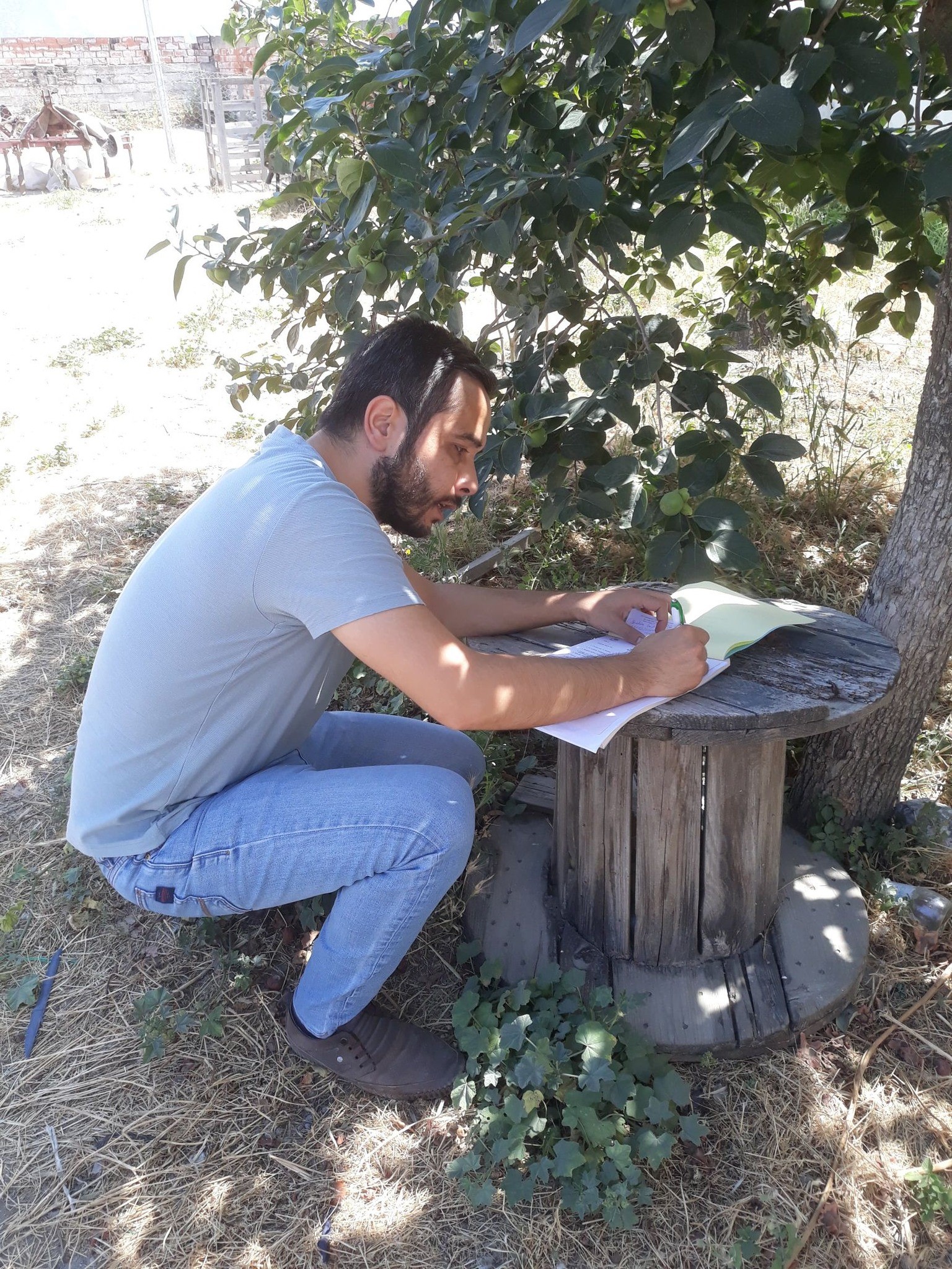 Aydın’da Domates Denetimi (3)