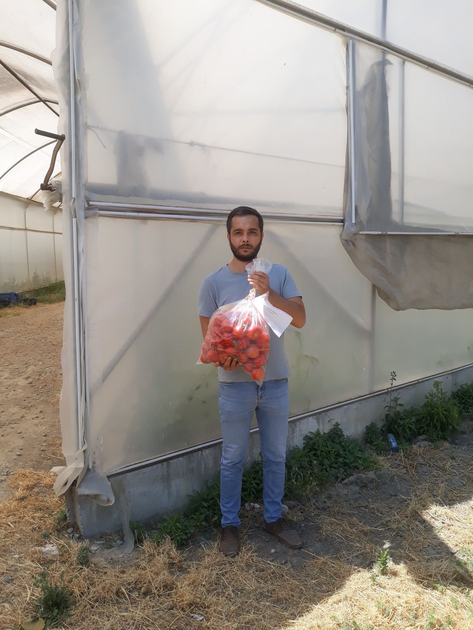 Aydın’da Domates Denetimi (4)