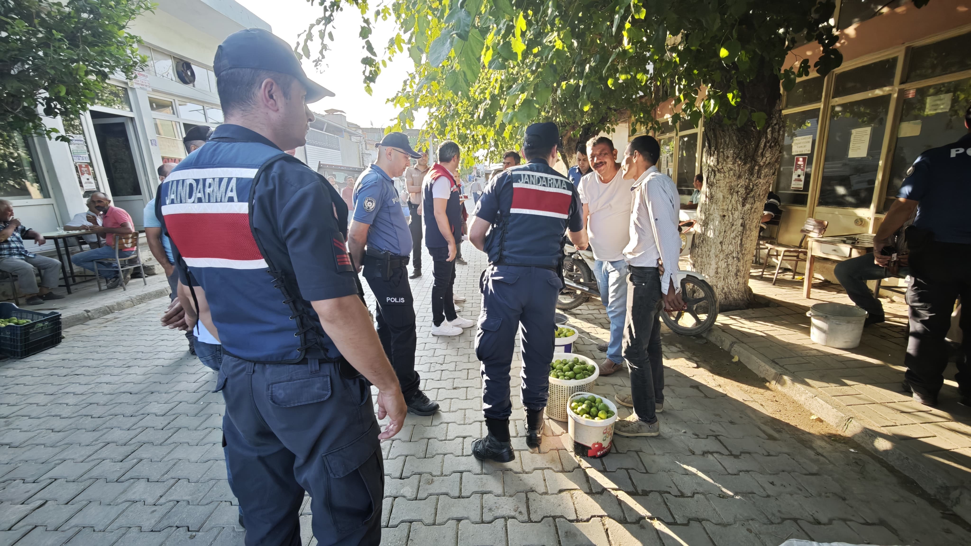 Aydın’da Ekipler Ilek Pazarında (5)