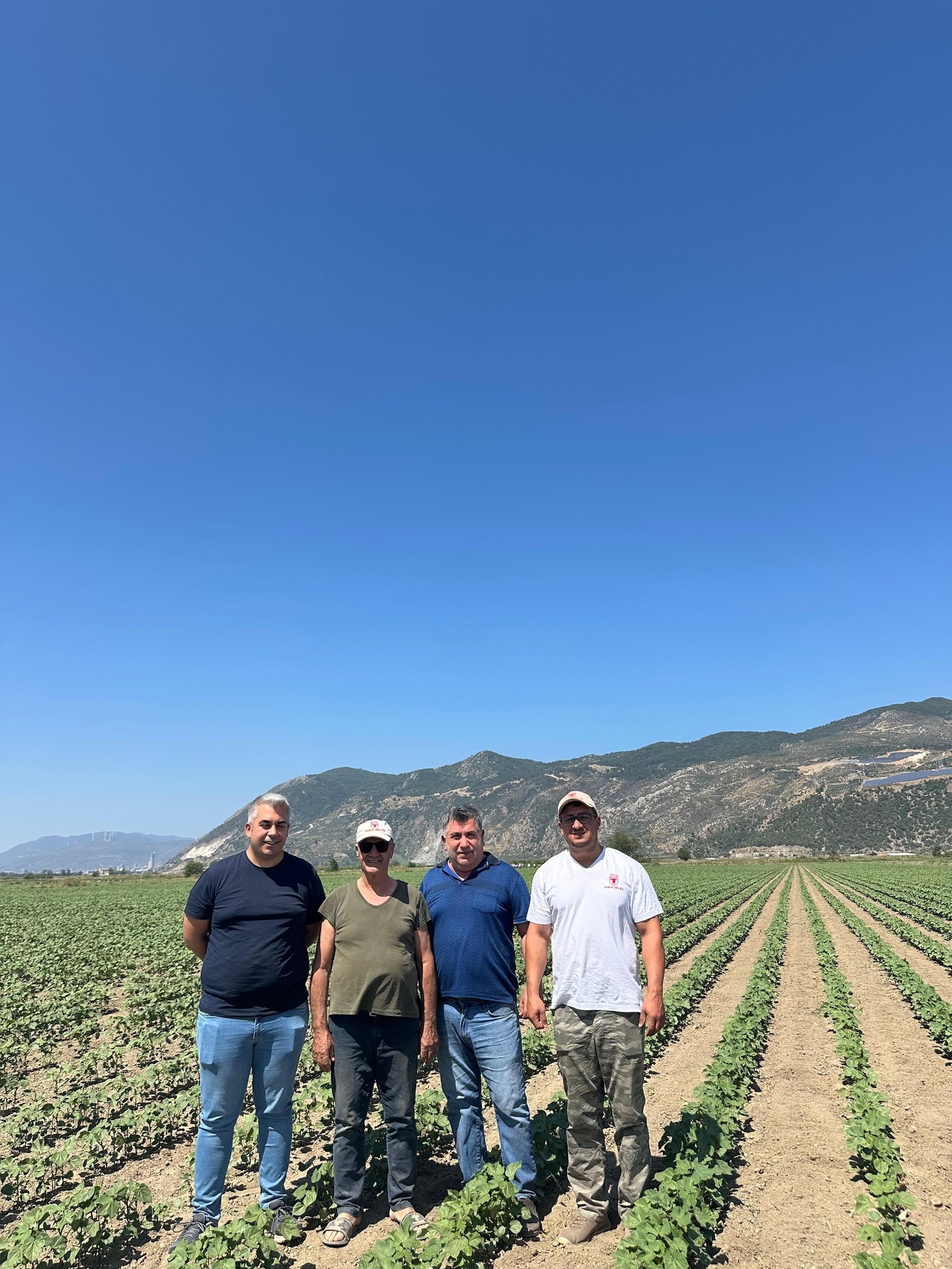 Aydın’da Ekipler Pamuk Tarlalarında (5)