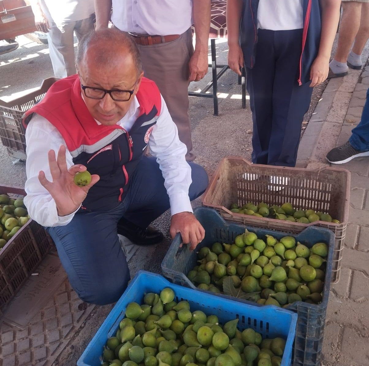 Aydın’da Ilek Denetimi (2)-1