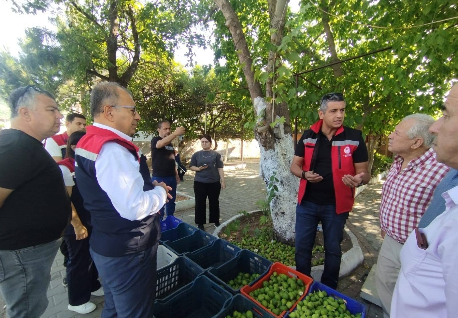 Aydın’da Ilek Denetimi (3)-1