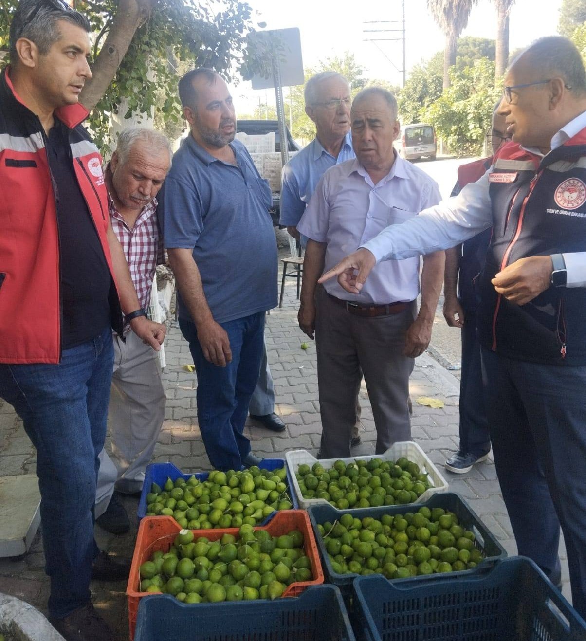 Aydın’da Ilek Denetimi (4)-1