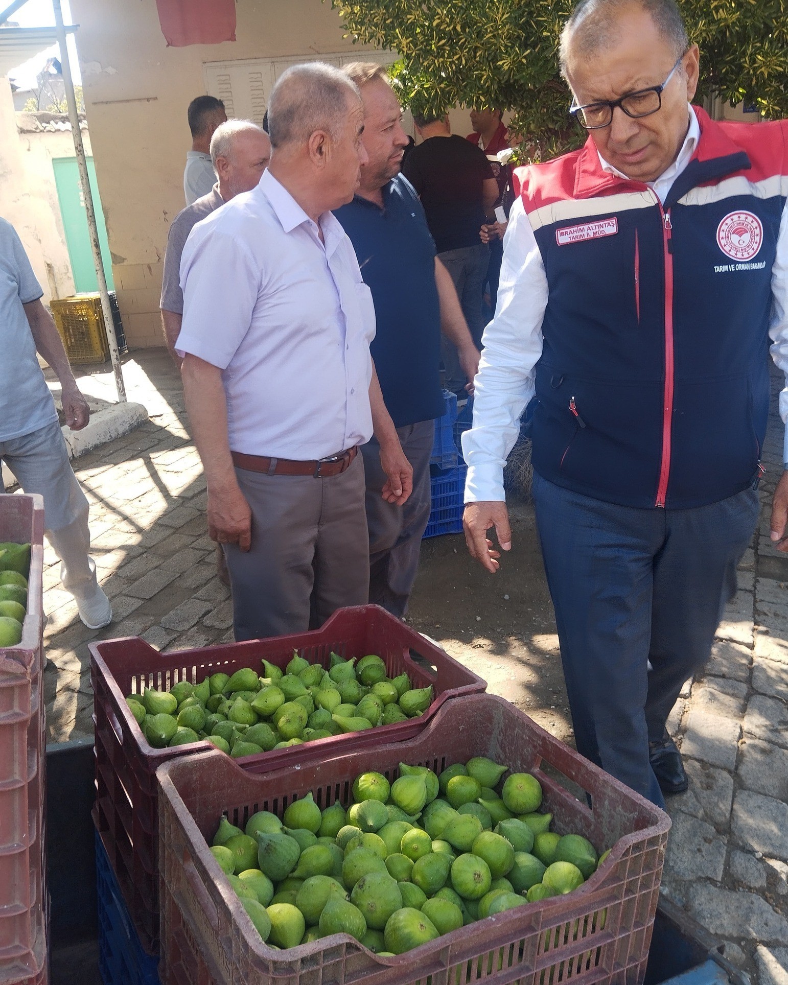 Aydın’da Ilek Denetimi (5)-1